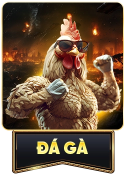 đá gà